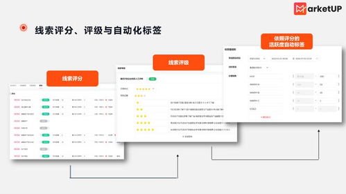 b2b企业cdp使用率低 看如何挖掘其最大价值